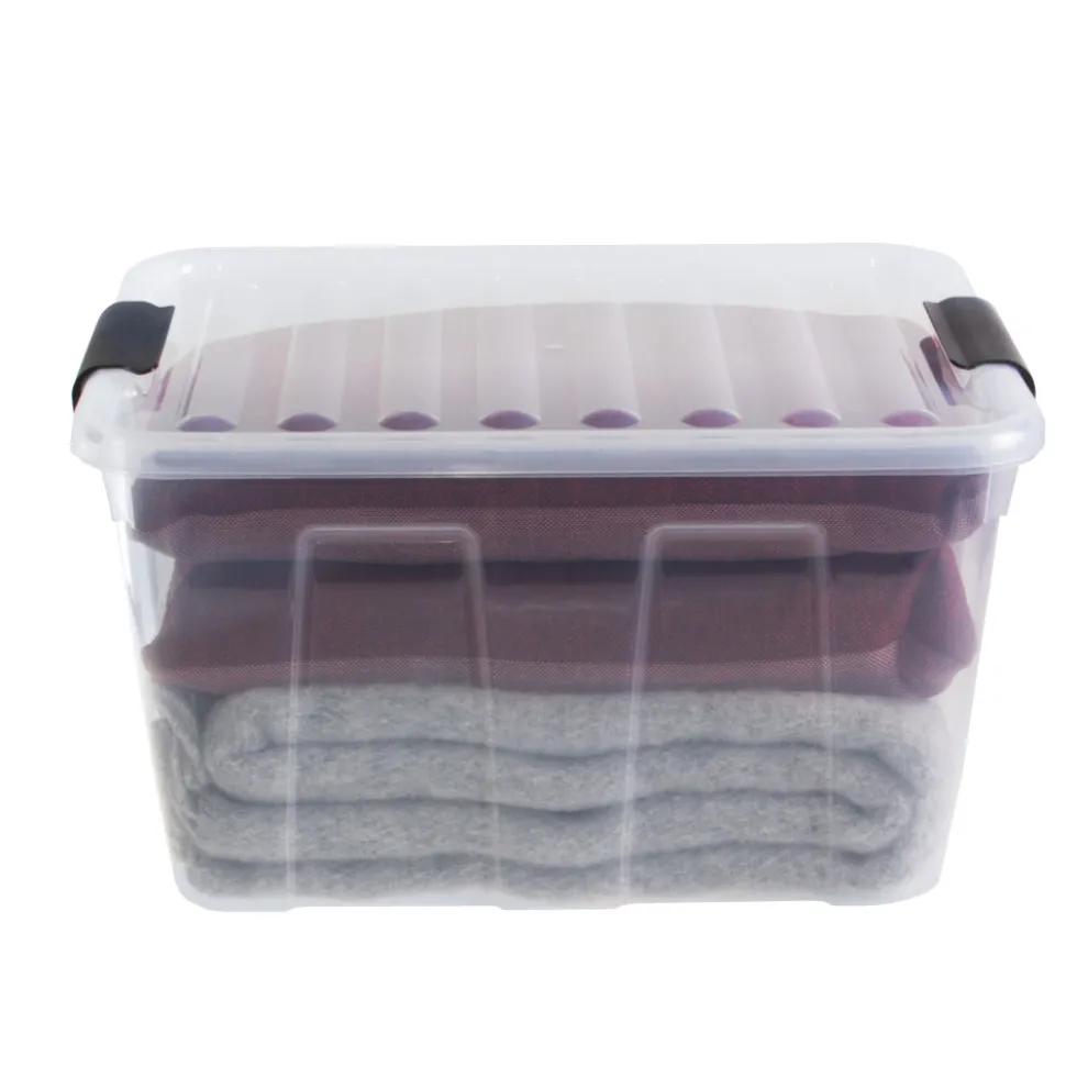 Aufbewahrungsbox 30 Liter mit Deckel, Grau-Transluzent