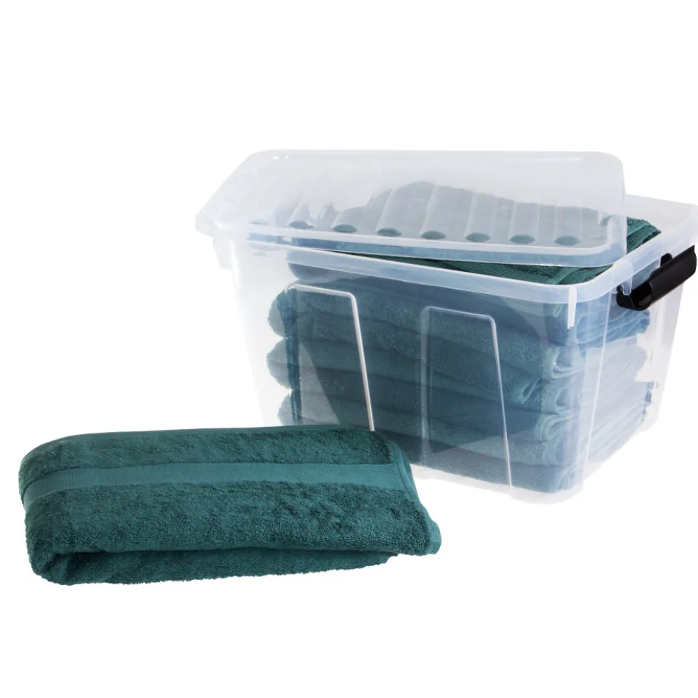 Aufbewahrungsbox 30 Liter mit Deckel, Grau-Transluzent
