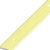 Übergangsprofil Aluminium eloxiert 1000 x 30 x 2 mm messingfarben gelocht