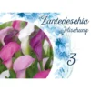 Blumenzwiebeln Calla Mix 3 Stück bunt