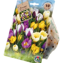 Blumenzwiebeln Krokus Mix 10 Stück, mehrfarbig