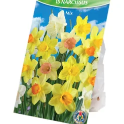 Blumenzwiebeln Narzissen Mix 15 Stück mehrfarbig