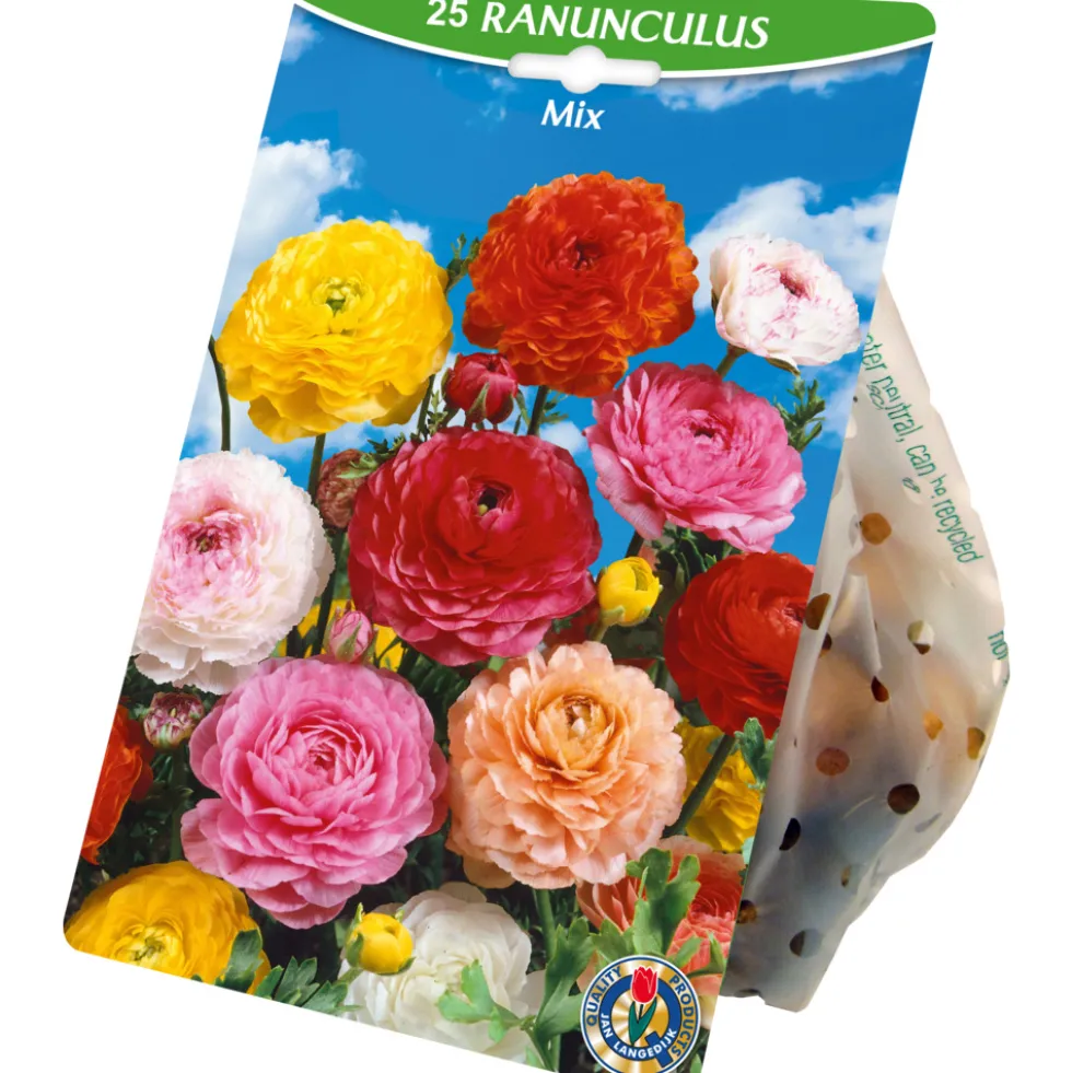 Blumenzwiebeln Ranunkeln Mix 20 Stück, bunt