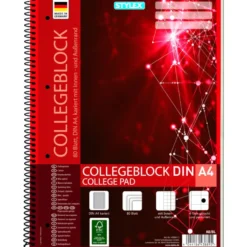 Collegeblock DIN A4 kariert, 4-fach gelocht