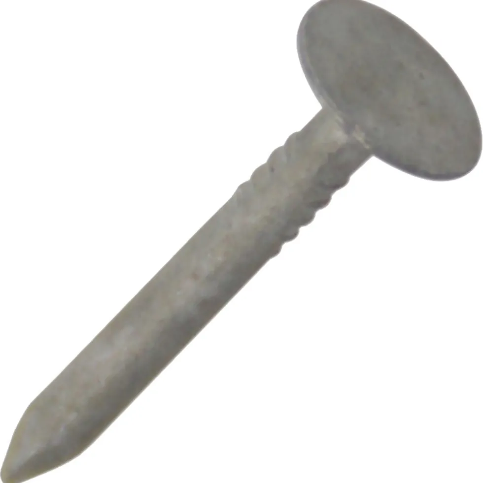 Dachpappstifte 2,5 x 20mm 2,5 kg Pack