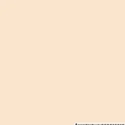 DECOPRO Farbiges Wohnen Bisquit 2,5 L