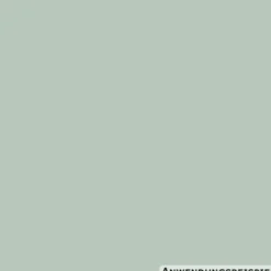 DECOPRO Farbiges Wohnen Wasabi 2,5 L