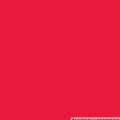 DECOPRO Vollton und Abtönfarbe 500 ml rot innen und außen