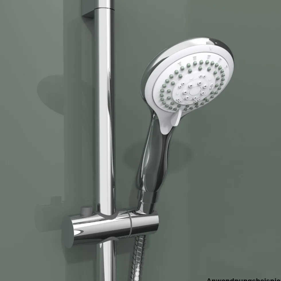 eisl Handbrause Biolux verchromt mit 5 Funktionen