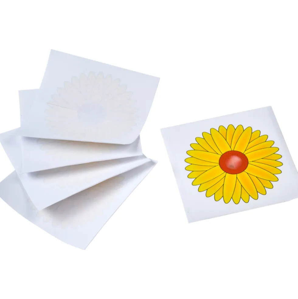 Fensterfliegenfallen mit Blumenmotiv 5er Set