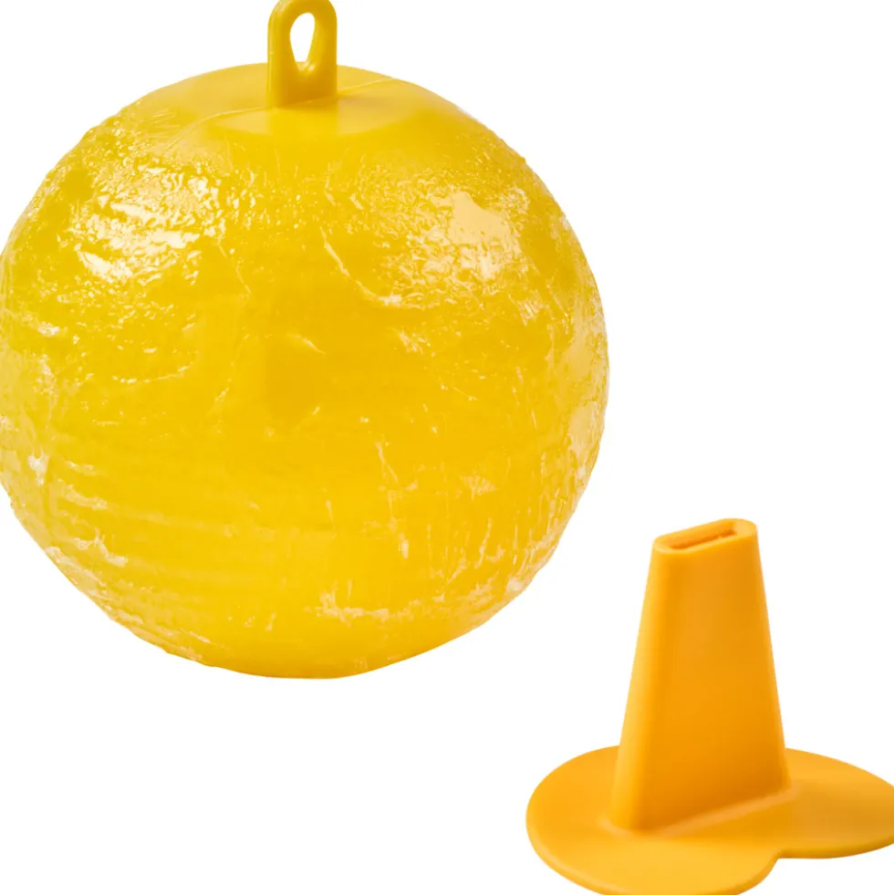 Fruchtklebefalle mit Obst-Optik