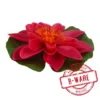 Gardena Seerose Kunststoff Ø13 cm rot -B-Ware