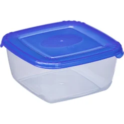Gefrier- und Frischhaltedose L, Transparent