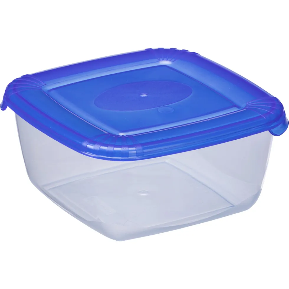 Gefrier- und Frischhaltedose L, Transparent