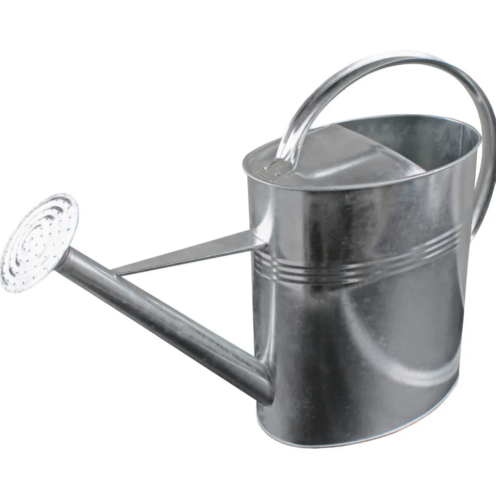 Gießkanne 10 Liter mit Brausekopf