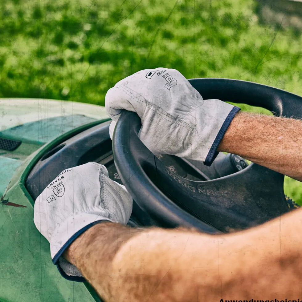 Handschuhe Driver Größe 9, L aus Rindsvollleder in Hellgrau