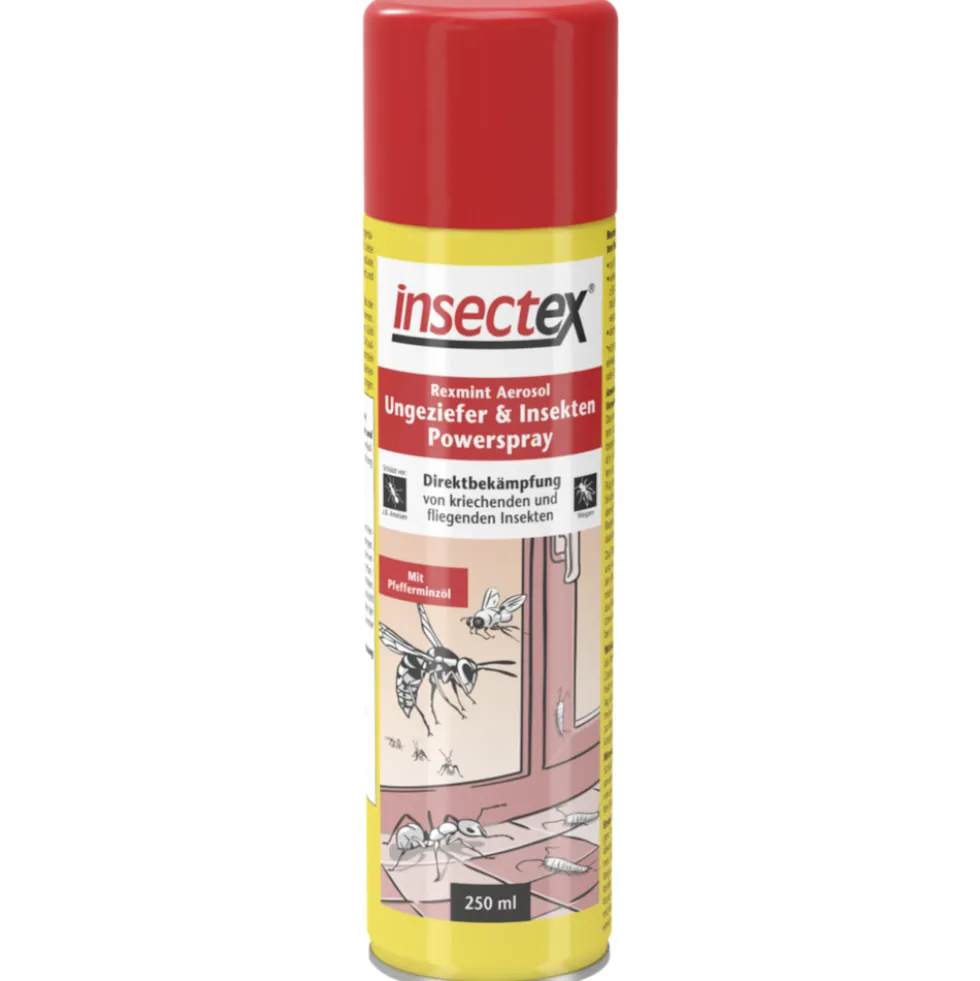 insectex® Ungeziefer- & Insekten-Powerspray 250 ml