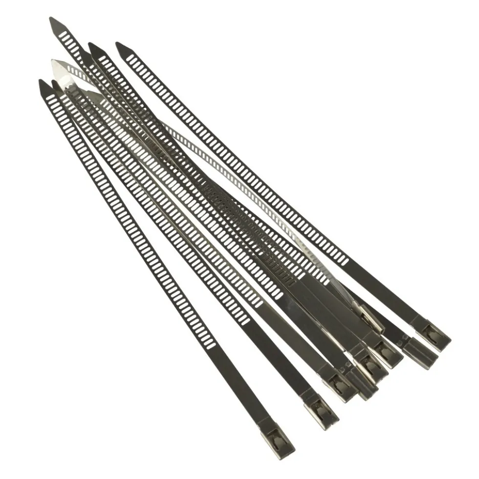 Kabelbinder 200 mm 10-teilig