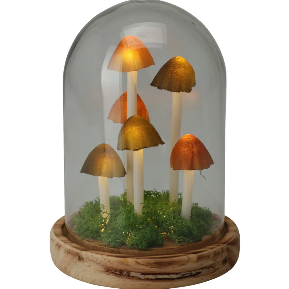 LED-Glaskuppel mit Pilzdeko und 12 LEDs