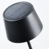 LED-Solar-Standleuchte 120 cm Metall schwarz