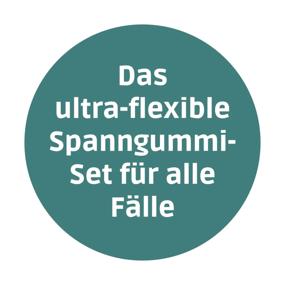 ModulFix Spanngummi-Transport-Set Premium 9-teilig