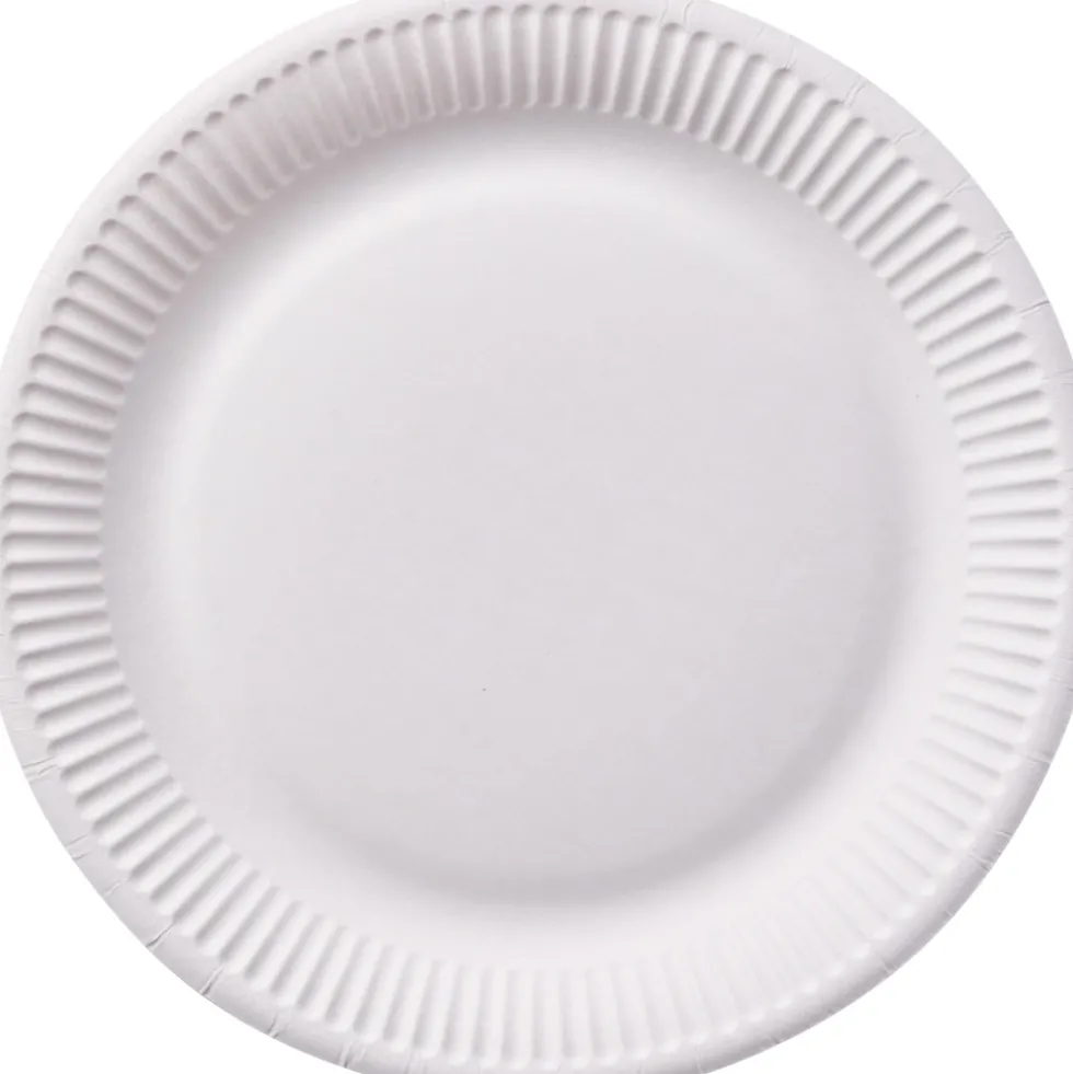 Pappteller weiß, Ø 23 cm, 20 Stück
