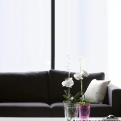 Prosperplast Blumentopf Coubi Orchid eckig in Transparent