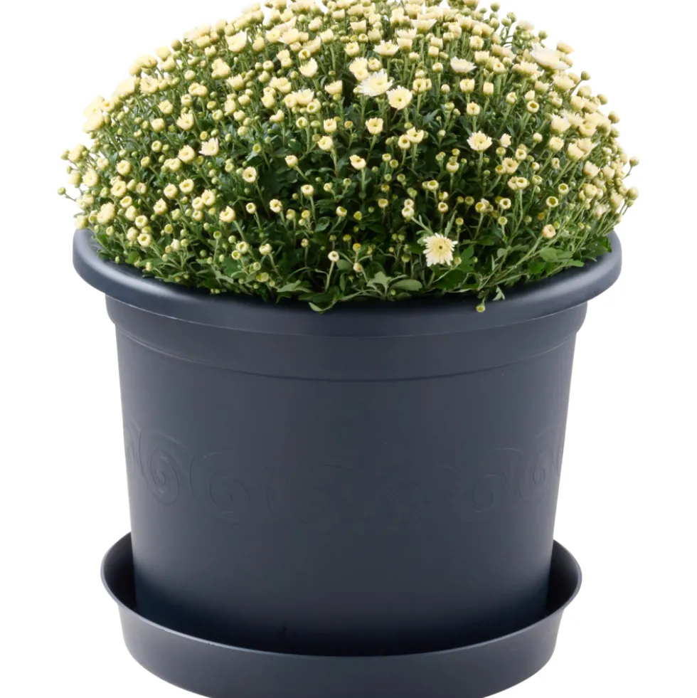 Prosperplast Pflanztopf Plastica rund 40 cm anthrazit