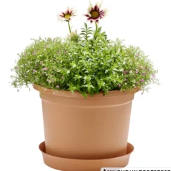 Prosperplast Pflanztopf Plastica rund 34 cm terracotta