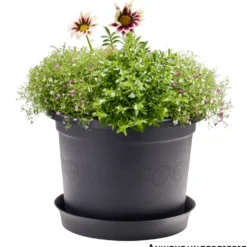 Prosperplast Pflanztopf Plastica rund 34 cm anthrazit