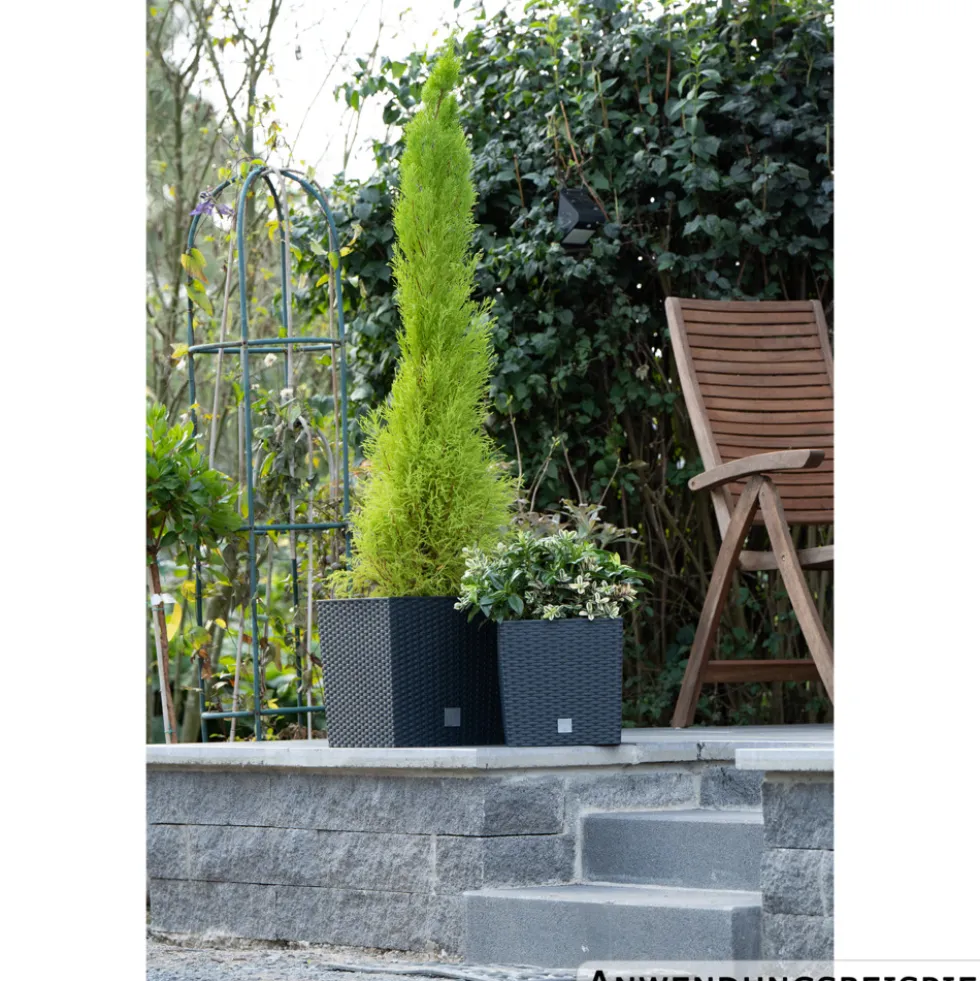 Prosperplast Pflanztopf Rato Low 26,2 x 26,2 x 26,6 cm in Anthrazit