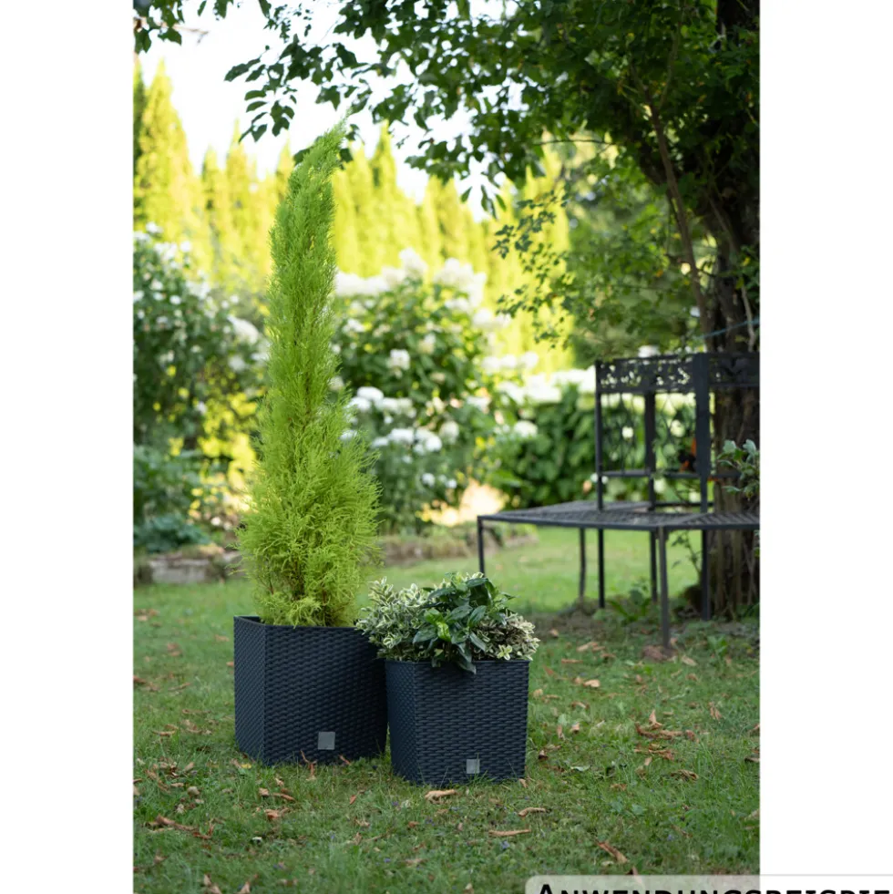 Prosperplast Pflanztopf Rato Low 26,2 x 26,2 x 26,6 cm in Anthrazit