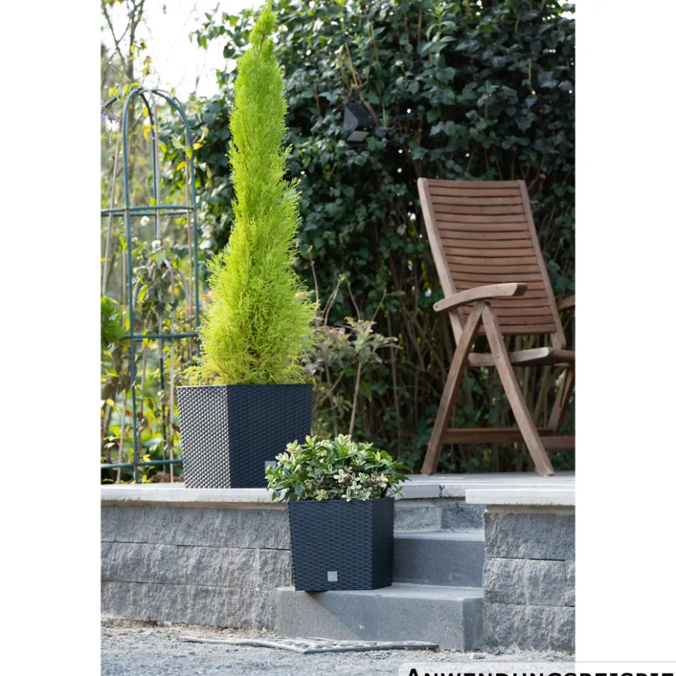 Prosperplast Pflanztopf Rato Low 26,2 x 26,2 x 26,6 cm in Anthrazit