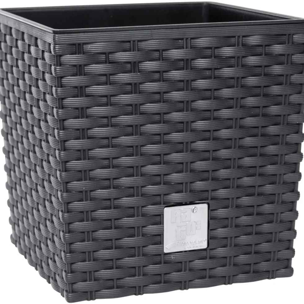 Prosperplast Pflanztopf Rato Low 26,2 x 26,2 x 26,6 cm in Anthrazit