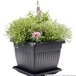 Prosperplast Pflanztopf Terra 30 x 30 cm anthrazit