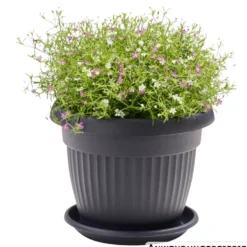 Prosperplast Pflanztopf Terra rund 20 cm anthrazit