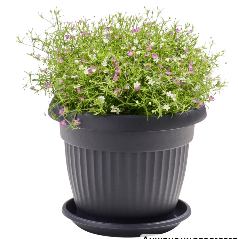 Prosperplast Pflanztopf Terra rund 20 cm anthrazit