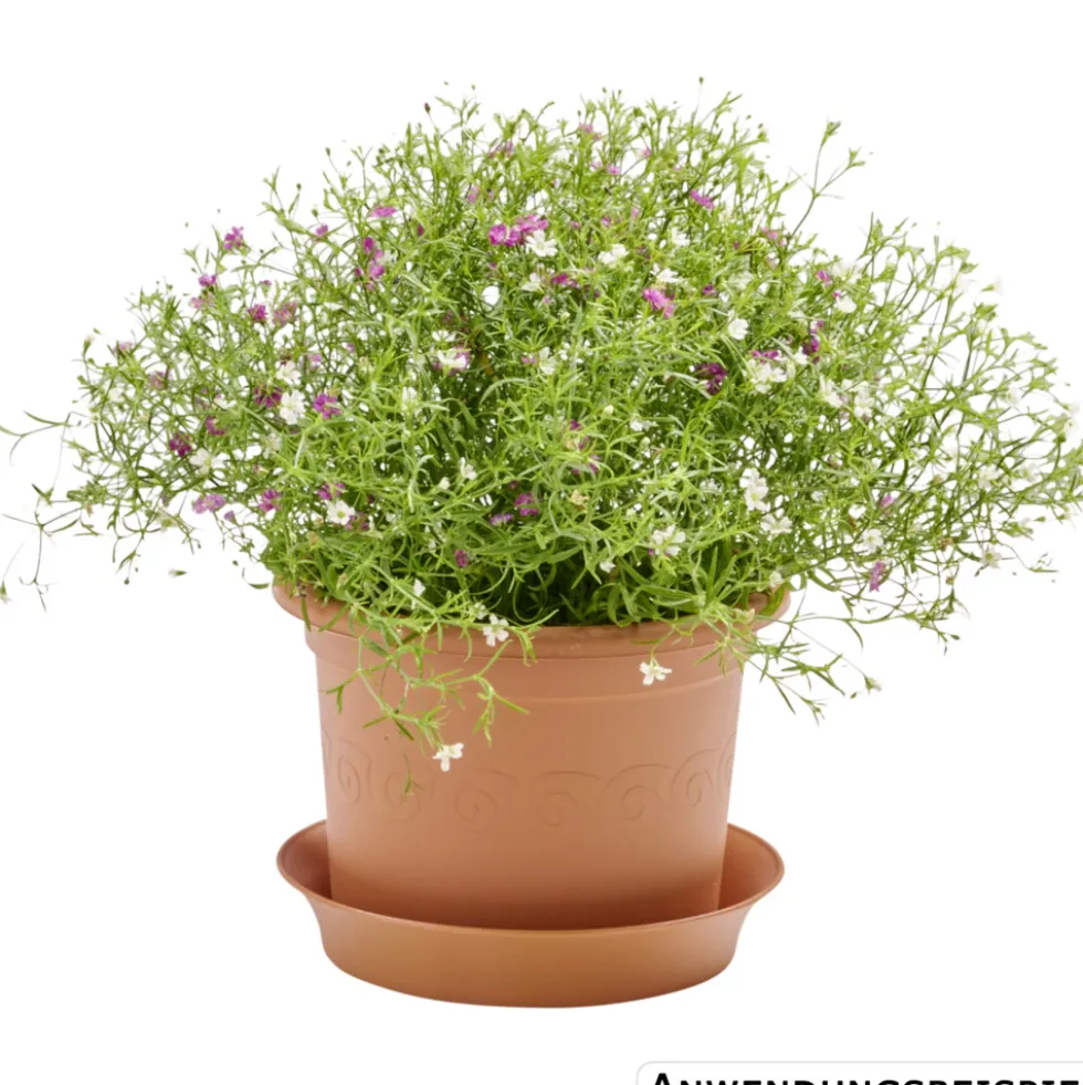 Prosperplast Untersetzer Plastica rund Ø 15 cm in terracotta