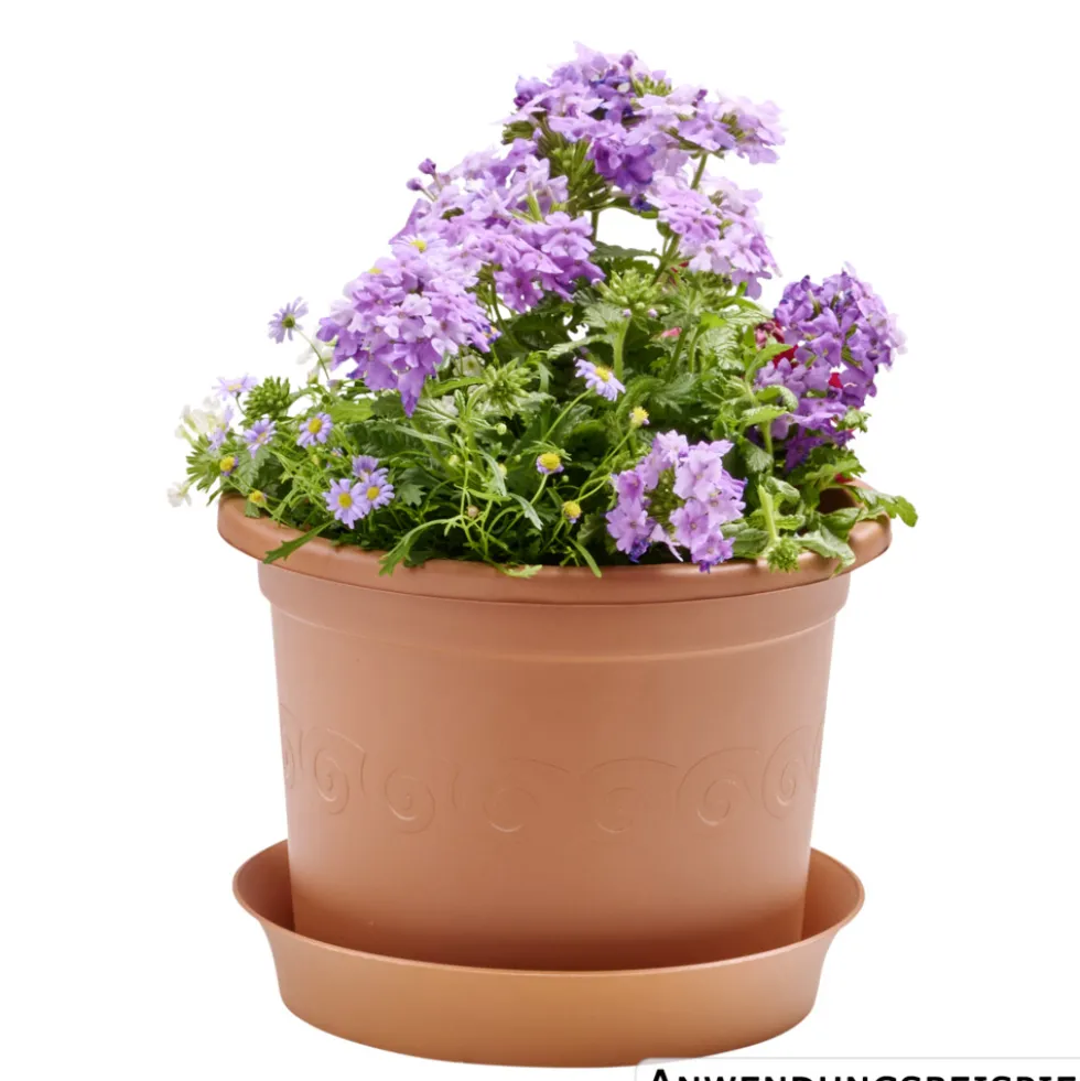Prosperplast Untersetzer Plastica rund Ø 22 cm in terracotta