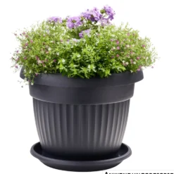 Prosperplast Untersetzer Terra rund Ø 17 cm in Anthrazit