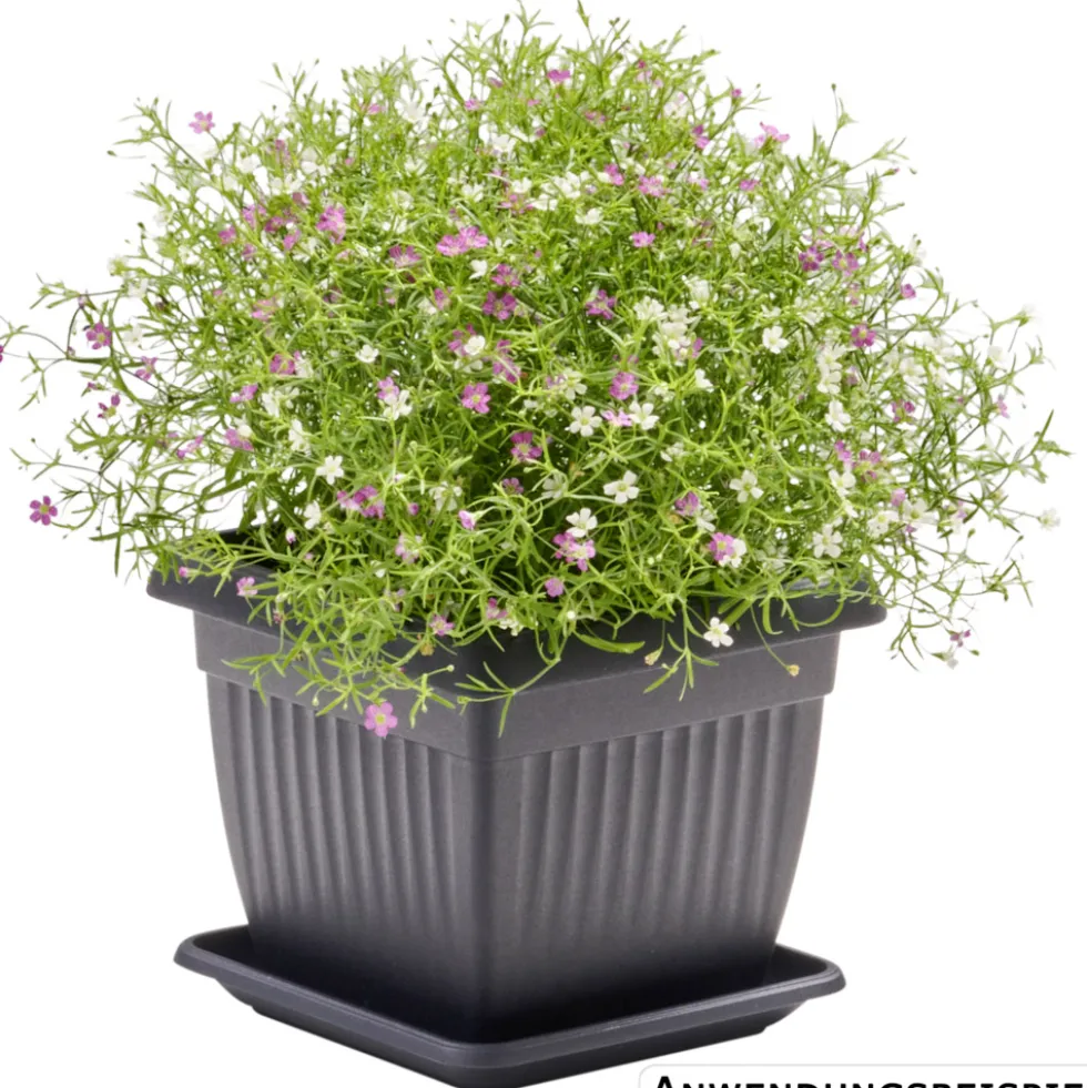 Prosperplast Untersetzer Terra eckig 14 x 14 cm in Anthrazit