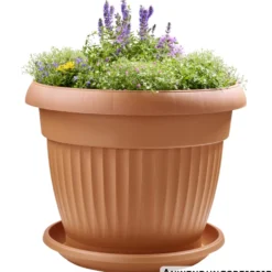 Prosperplast Untersetzer Terra rund Ø 54 cm in Terracotta