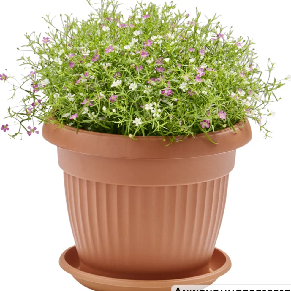 Prosperplast Untersetzer Terra rund Ø 17 cm in Terracotta
