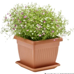 Prosperplast Untersetzer Terra eckig 14 x 14 cm in Terracotta