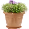 Prosperplast Untersetzer Terra rund Ø 29 cm in Terracotta