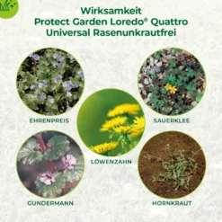 Protect Garden® Loredo® Quattro Universal-Rasenunkrautfrei 400 ml