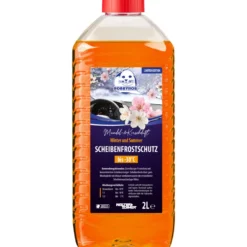 Robbyrob Scheibenfrostschutz -30°C Mandel-&Kirschduft 2L