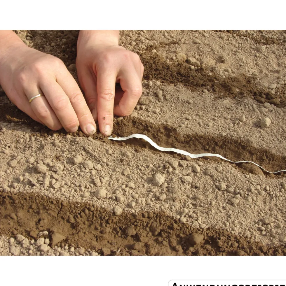 Saatband einfache Gartenkresse ca. 2 laufende Meter