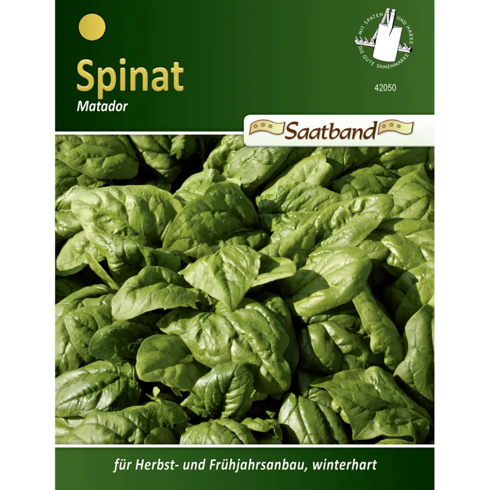 Saatband Spinat Matador ca. 2 laufende Meter