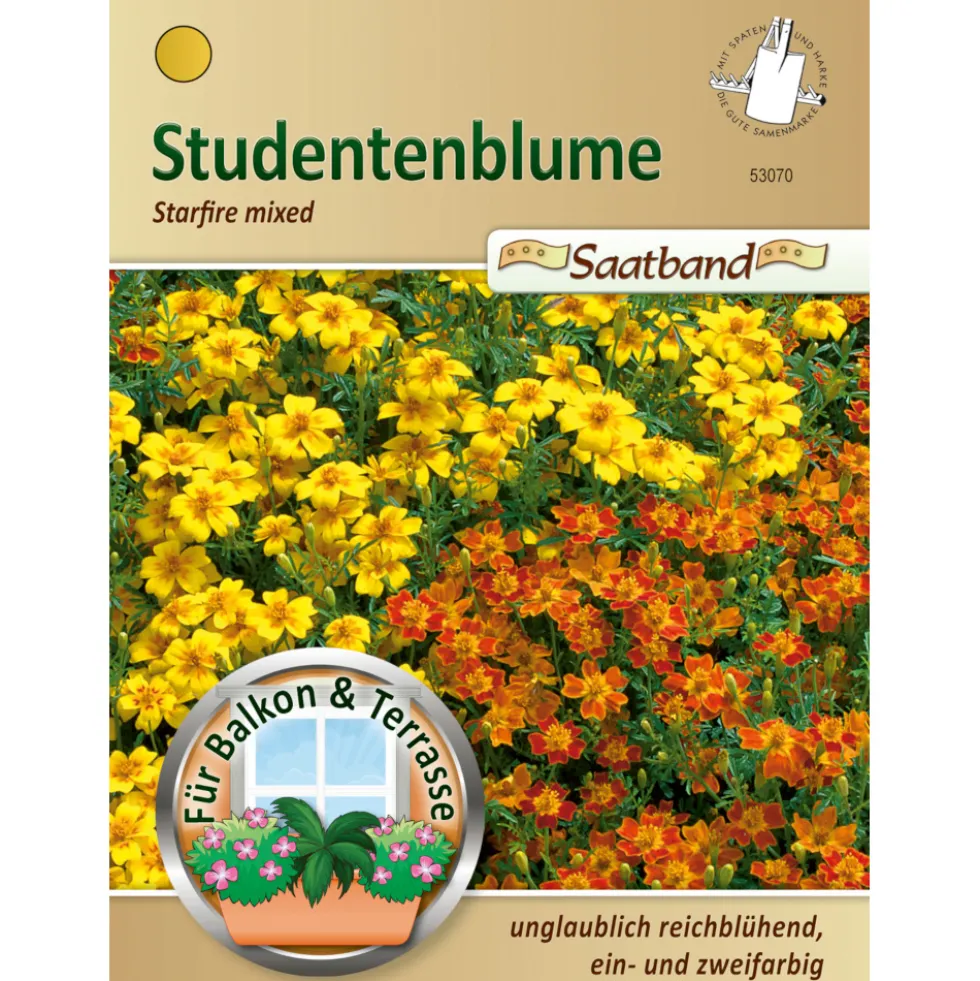 Saatband Studentenblume Mix ca. 2 laufende Meter